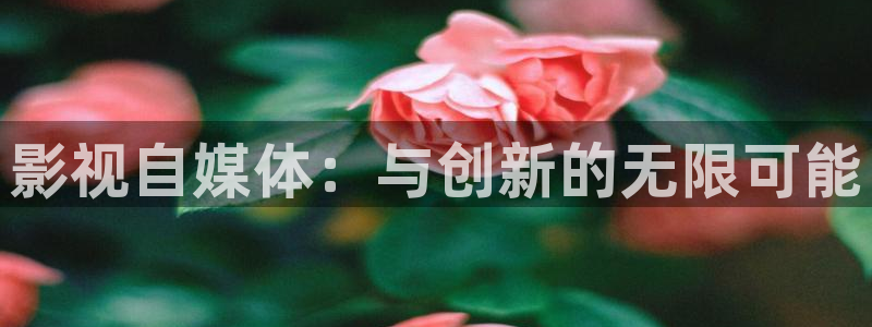 西瓜影院高清免费观看电视剧